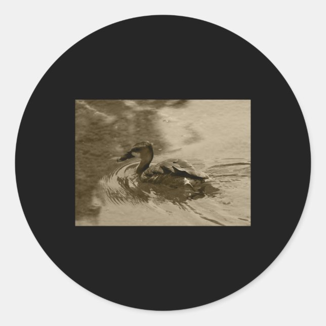 Fulvous Pfistling Duck Valencia Tint Sticker (Vorderseite)