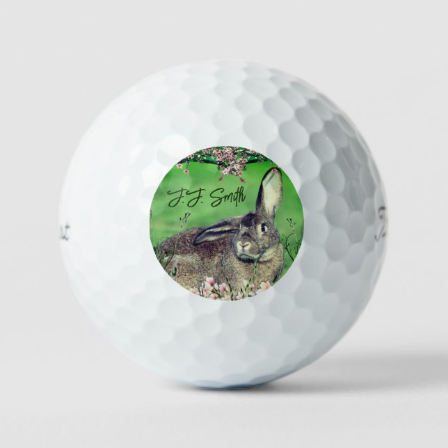 Fun 12 Pack Hare Rabbit Personalisiert Animal Golfball (Vorderseite)