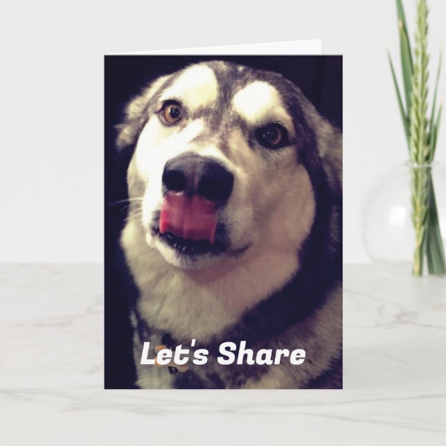 Fun Alaskan Malamute Cover Fotovorlage Karte (Vorderseite)