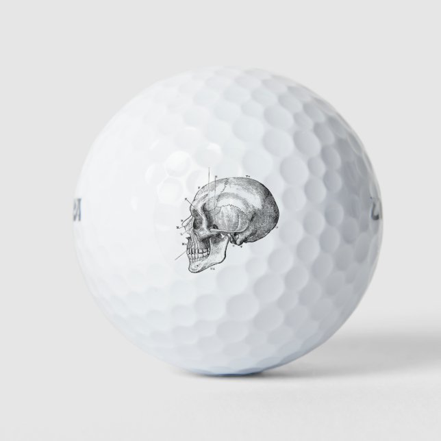 Fun Anatomy Golfball (Vorderseite)