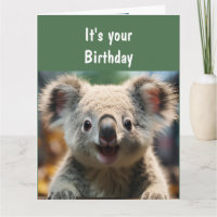 Fun Animal Spaß Koala Koality Fun