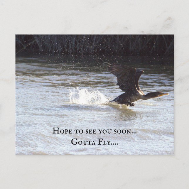 Fun Bird Postcard Postkarte (Vorderseite)