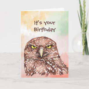 Fun Birthday Owl End of Crappy Year Spaß Feiertagskarte