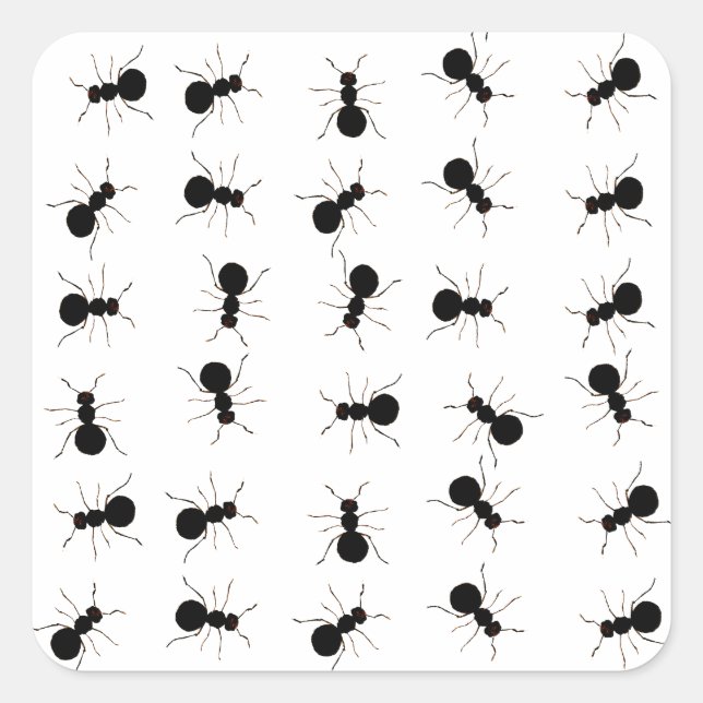 Fun Black Ant Bug Print Quadratischer Aufkleber (Vorderseite)