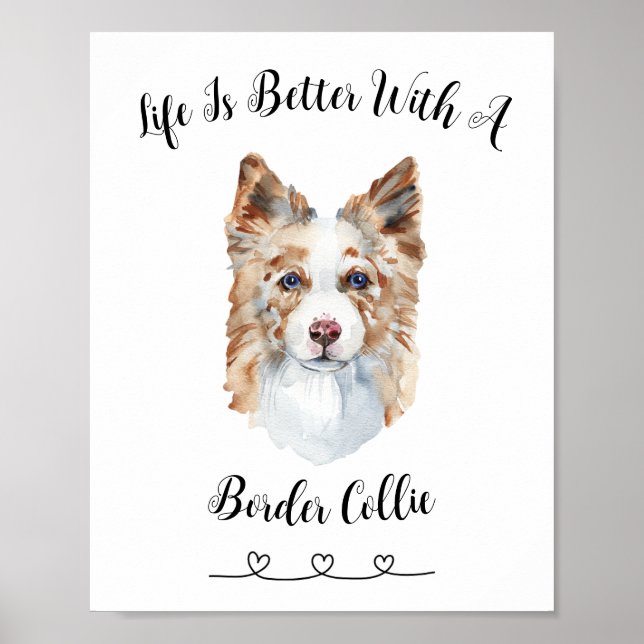 Fun Border Collie Watercolor Wand an Wand Poster (Vorne)