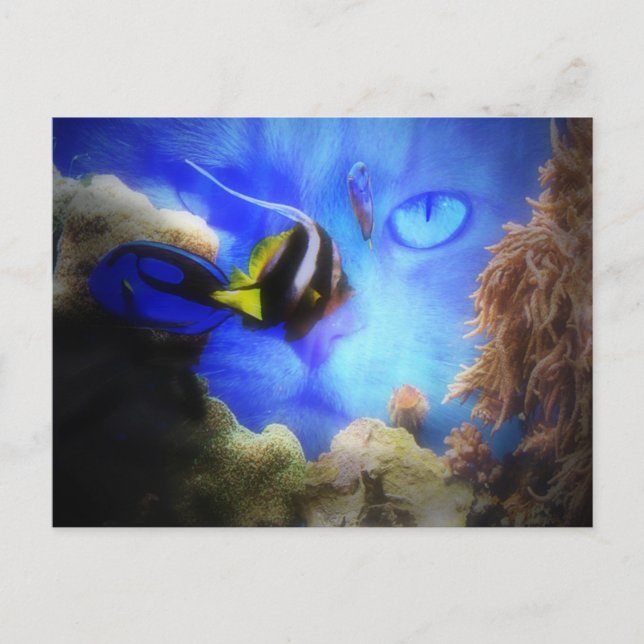 Fun Cat and Fish Postcard Postkarte (Vorderseite)