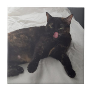 Fun Cat Foto mit Zunge raus, Fliesen