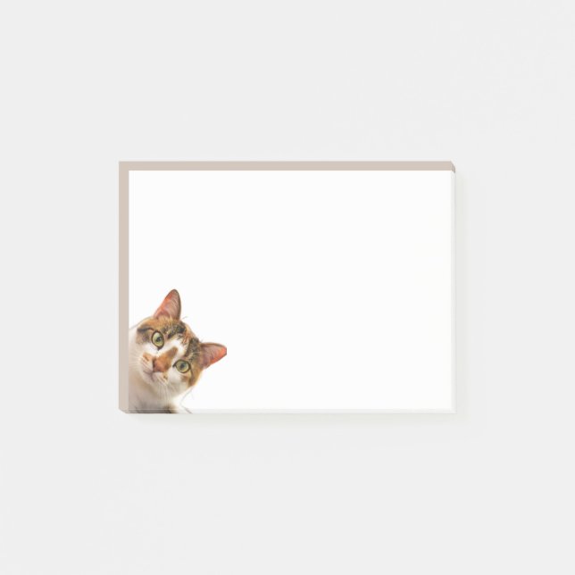 Fun Cat Kitten Looking at You Cute Animal Fun Post-it Klebezettel (Vorderseite)