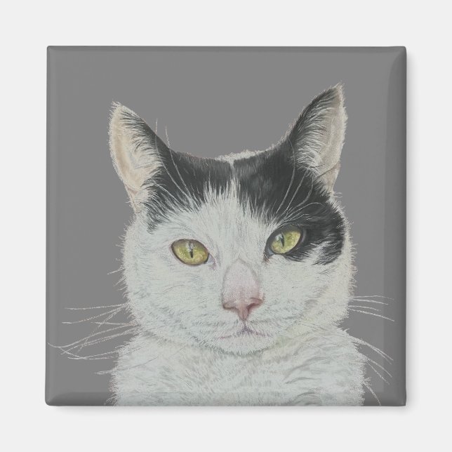 Fun Cat Magnet (Vorne)