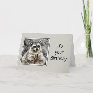 Fun Clapping Raccoon Alter Spaß Geburtstag Karte