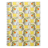 Fun Cockatiel Yellow Pattern Pet Bird School