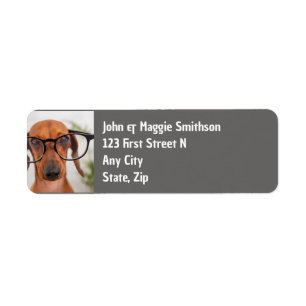 Fun Dackel Hund mit Brille Haustier