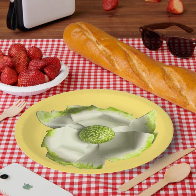 Fun Daisy Blume Frühjahrssommer Hochzeit Geburtsta Pappteller (Picknick)