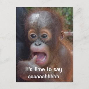 Fun Dentist Ernennung Erinnerung Postkarte