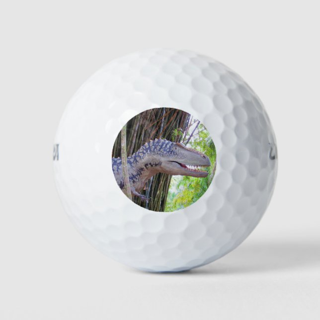 Fun Dinosaur - Daspletosaur Golf Balls Golfball (Vorderseite)