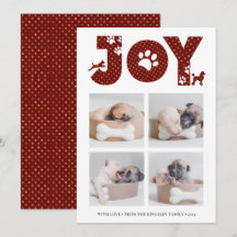 Fun Dog Paw Script JOY Modern