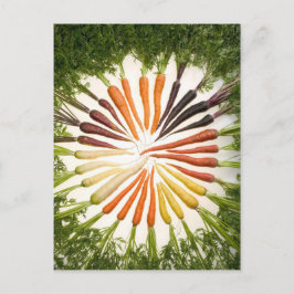 Fun farbenfrohe Karotten Postkarte