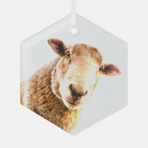 Fun Farm Animal Sheep Ornament Aus Glas