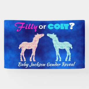 Fun "Filly or Colt" Gender Reveal Banner