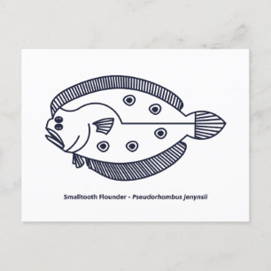 Fun Flounder Fisch in tiefblau und weiß Postkarte