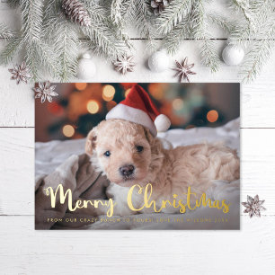 Fun Frohe Weihnachts Pet Foto Folien Feiertagskarte