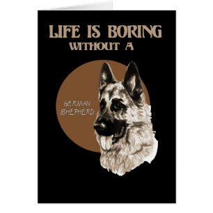 Fun German Shepherd Dog Life