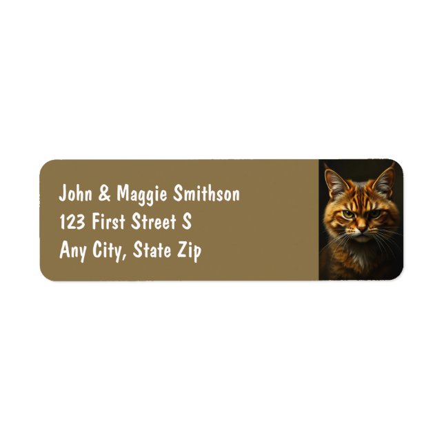 Fun Grumpy Orange Tabby Cat Kitten (Vorne)