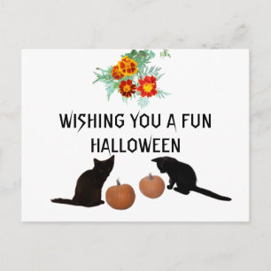 Fun Halloween Orange Pumpkins Marigolds Black Cats Postkarte