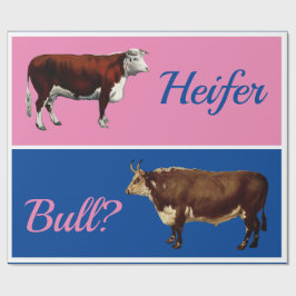 Fun Heifer oder Bull Gender Reveal bei Rindern Geschenkpapier