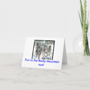 Fun in the Rocky Mountain sun! Karte