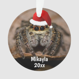 Fun Jumping Spider in der Weihnachtsmannmütze Wei Ornament