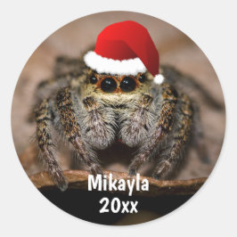 Fun Jumping Spider in der Weihnachtsmannmütze Weih Runder Aufkleber
