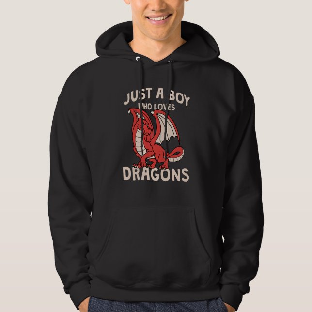 Fun Just a Boy who Loves Dragons Toddlers Tweens T Hoodie (Vorderseite)