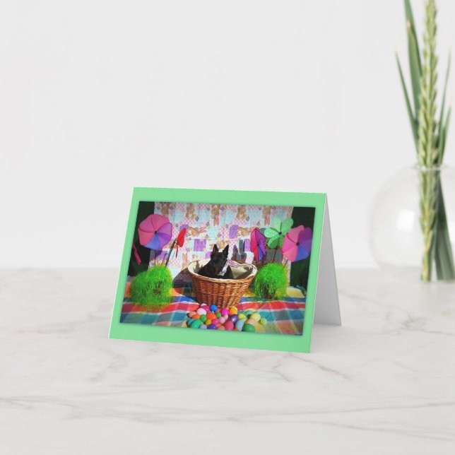 Fun-Körbe (Vorderseite)