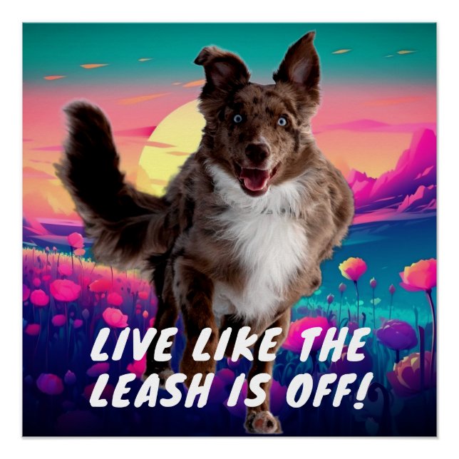 Fun Life Quote Moderner Australischer Hirte Poster (Vorderseite)