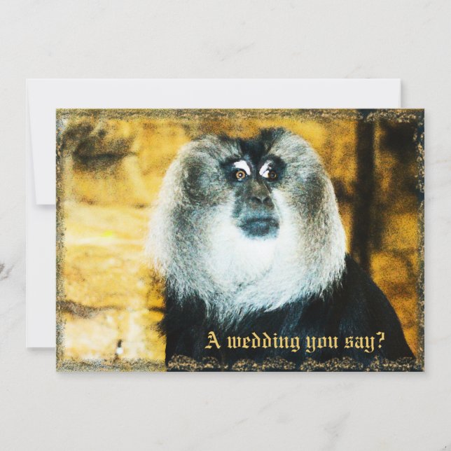 Fun Monkey Foto Zoo Hochzeit Einladungen (Vorderseite)