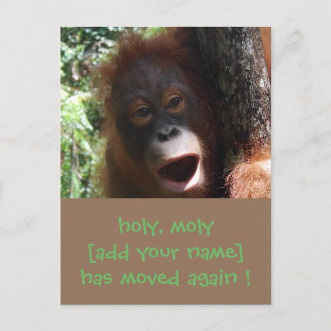 Fun Moving Change New Address Ankündigung (Vorderseite)