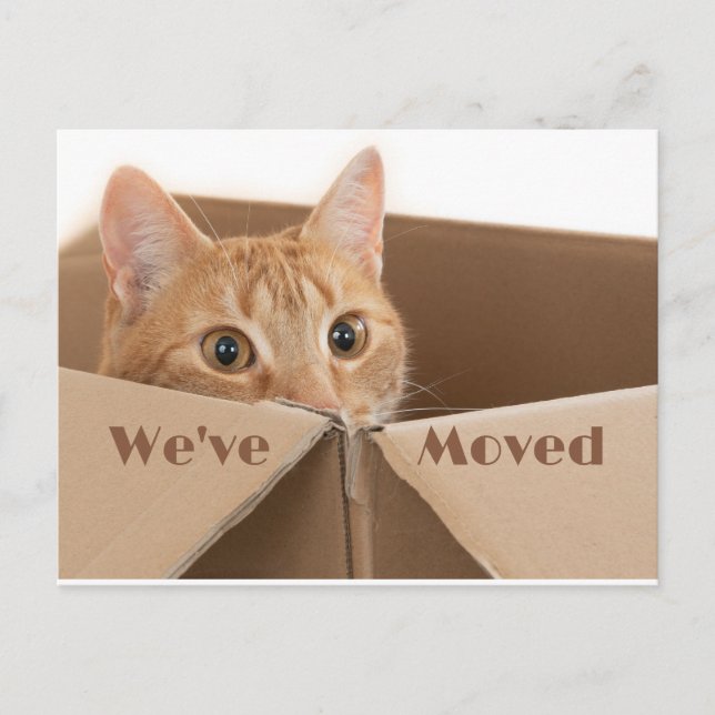 Fun Neue Adresse Erinnerung, neue Zuhause Postkart Ankündigungspostkarte (Vorderseite)