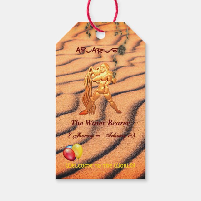 Fun 'New Baby' Aquarius Geschenketiketten Geschenkanhänger (Vorderseite)