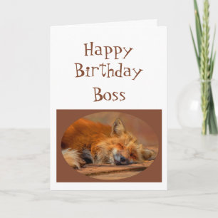 Fun "No Fox gegeben" Boss Birthday Animal Spaß Karte