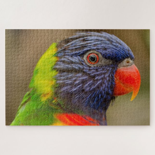 Fun Parrot farbenfroh Schwierigkeit 1.000 Stücke Puzzle (Horizontal)