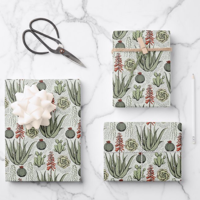 Fun Pflanze Lover Aloe Vera Pflanze Succulents Cac Geschenkpapier Set (Vorderseite)