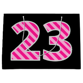 Fun Pink Striped "23"; Happy 23. Geburtstag; Name Große Geschenktüte