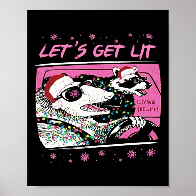 Fun Possum Raccoon Lasse Trash Street Pink Chri Poster (Vorne)