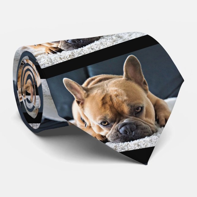 Fun Querky Niedliche französische Bulldog-Krawatte Krawatte (Gerollt)