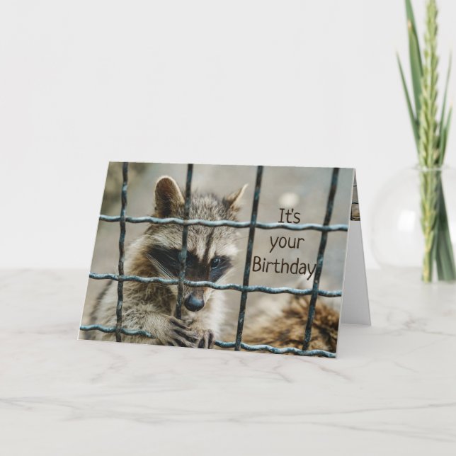 Fun Raccoon, den du mir in die Herz-Liebe genommen Karte (Vorderseite)