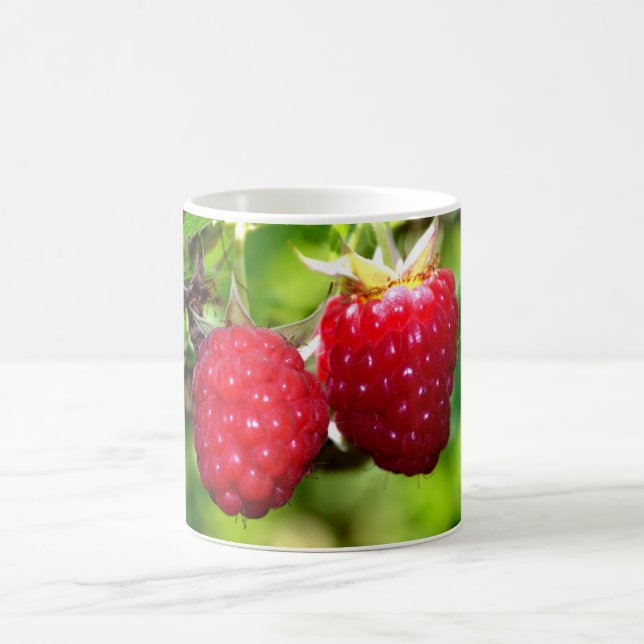 Fun Red Raspberries Kaffeetasse (Mittel)