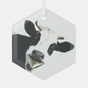 Fun Schwarz-weiße Kuhfarm Tierischer Spaß Ornament Aus Glas