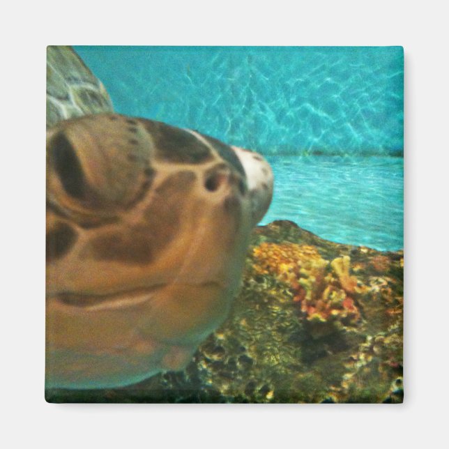 Fun Sea Turtle Selfie Magnet (Vorne)