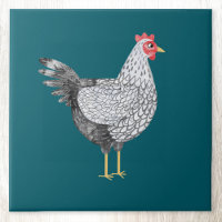 Fun Watercolor Wyandotte Chicken